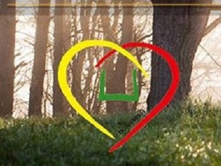 Šalčininkų rajono mero globojama akcija „Vilties medis”
