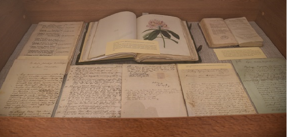 Lietuva Vilniaus universiteto bibliotekoje