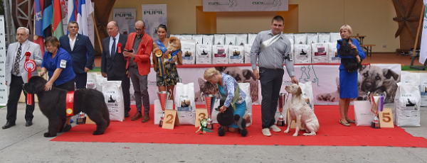 Šunys ant podiumo!